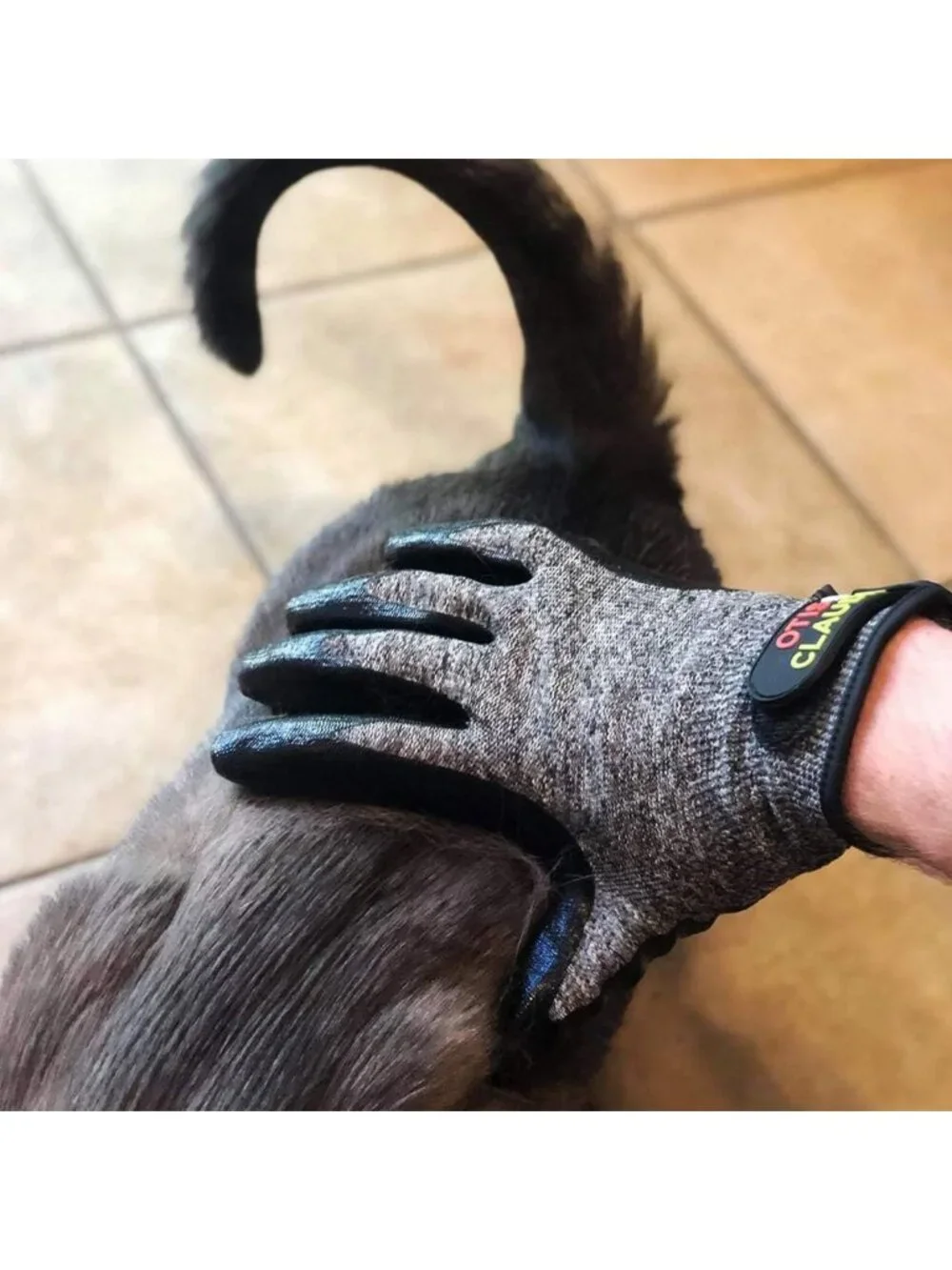 Grooming Gloves for Dogs & Cats - Deshedding Mitt with Soft Tips, Adjustable Fit